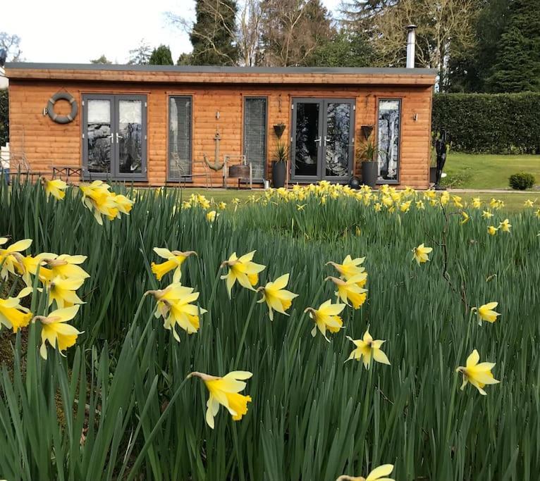 Log Cabin Rural Retreat In Beautiful Countryside Lapworth Exterior foto